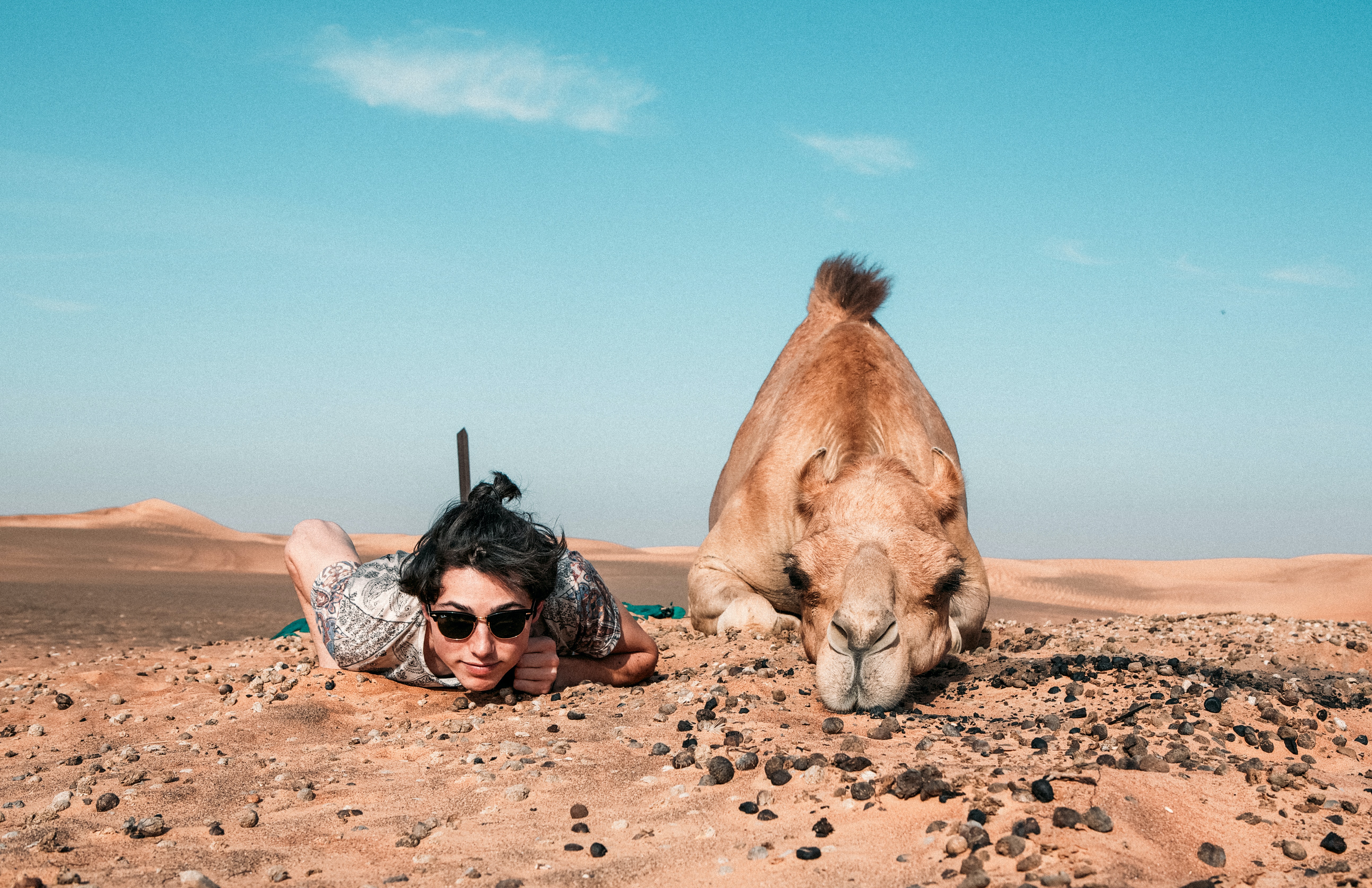 man and camel